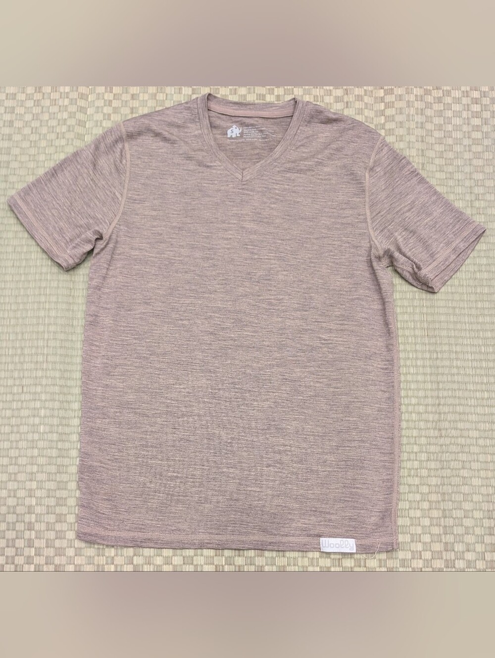 Woolly 100% Merino Wool V-neck T-shirt Heather Beige Men's Size Small